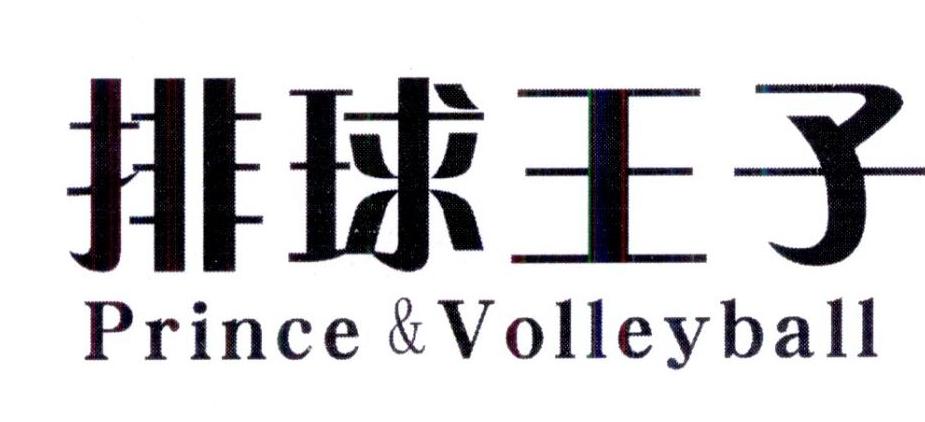 排球王子 PRINCE & VOLLEYBALL