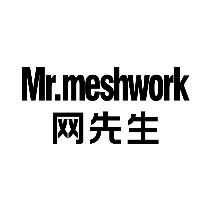网先生 MR.MESHWORK