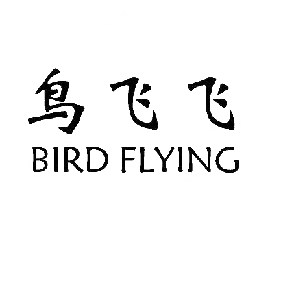 鸟飞飞 BIRD FLYING