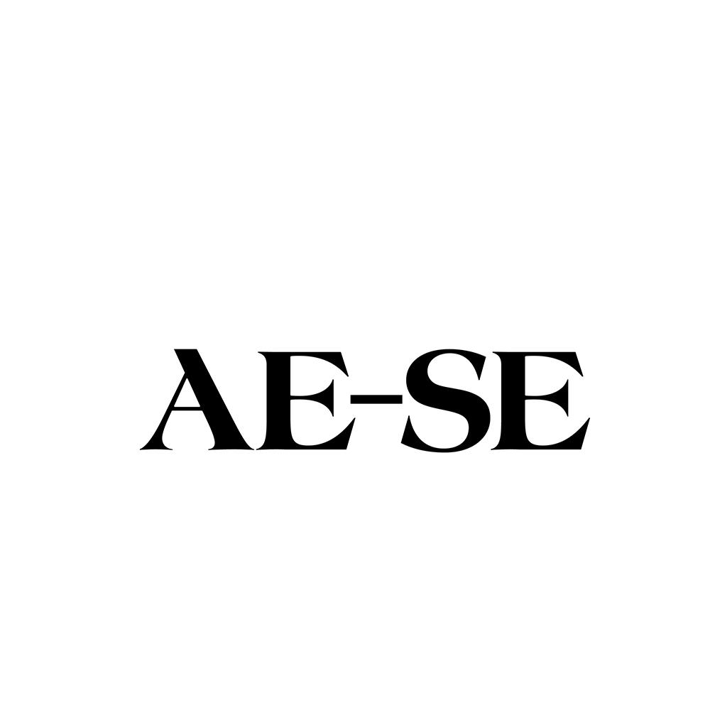 AE-SE
