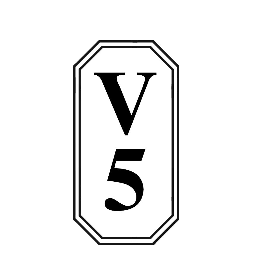 V 5