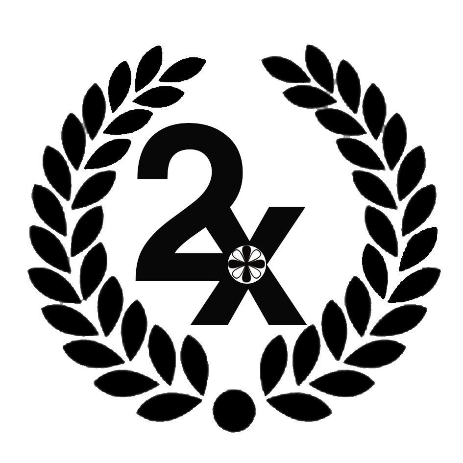 2 X