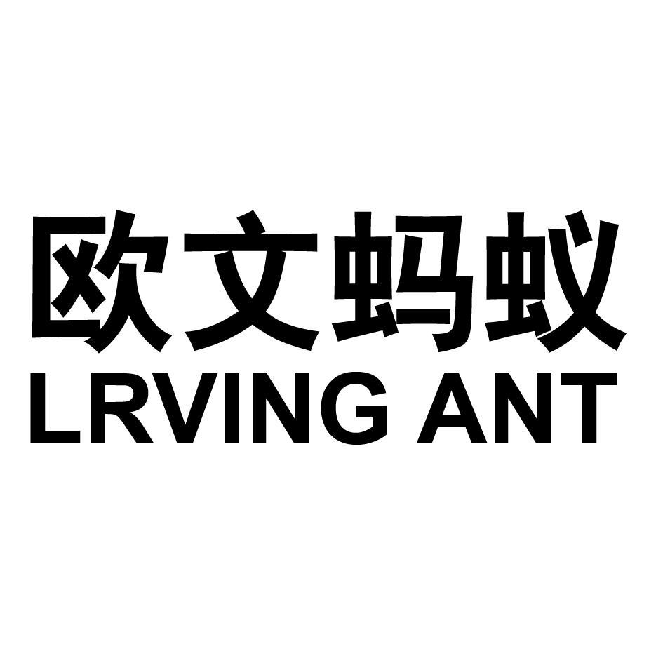 欧文蚂蚁 LRVING ANT