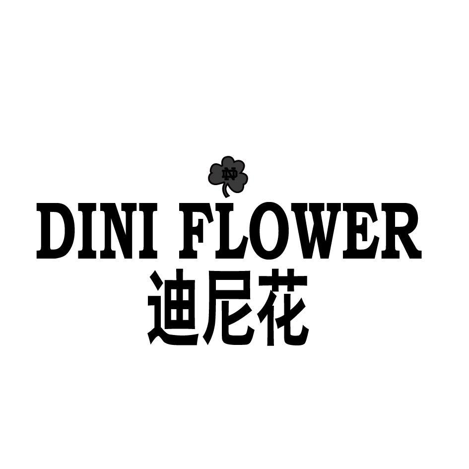 迪尼花 DINI FLOWER