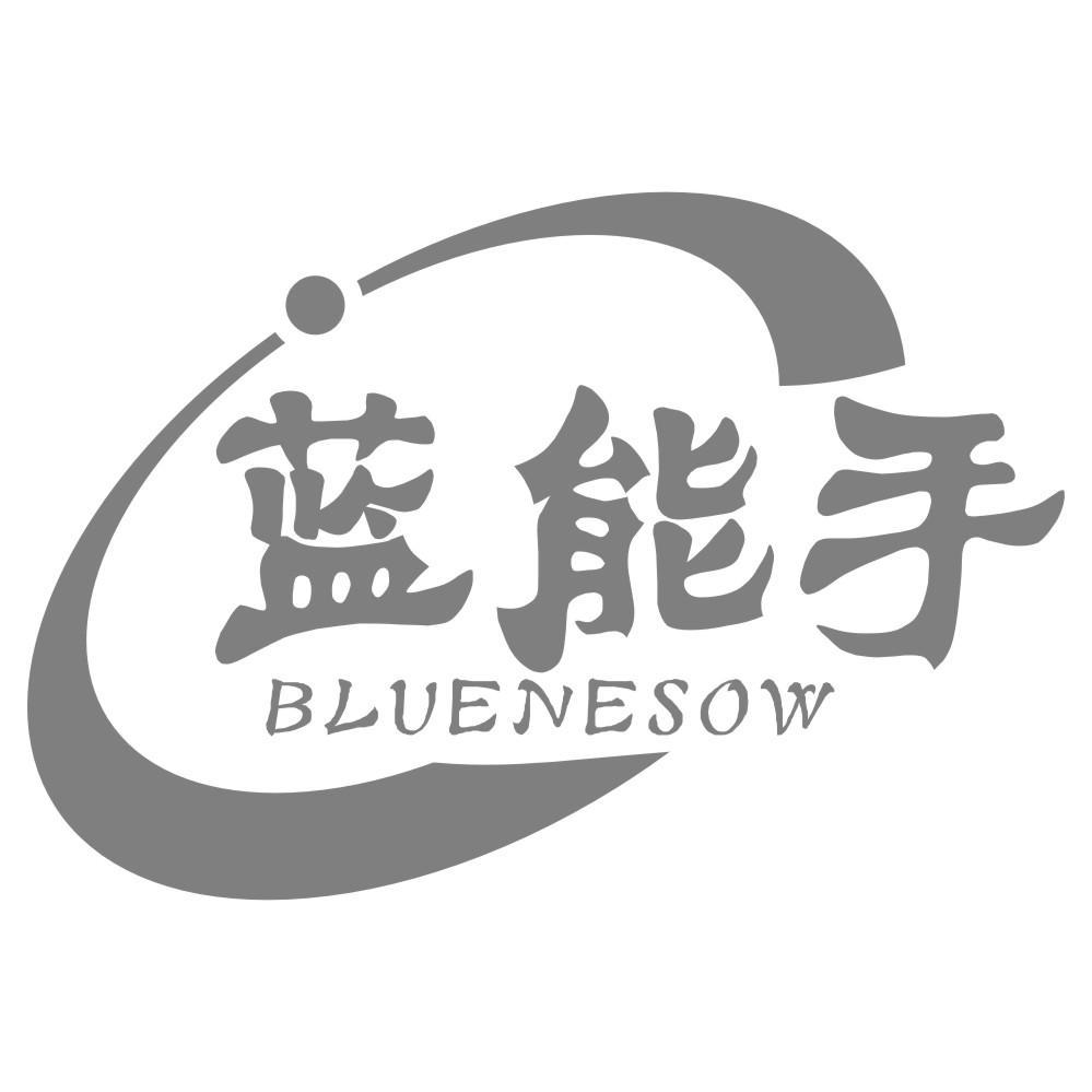 蓝能手 BLUENESOW